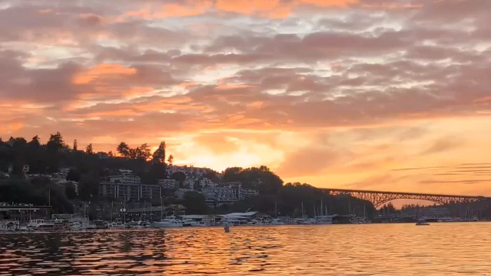 Embory reliving one day: a sunset over the water, then a tree-lined bike path